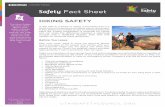HIKING SAFETY Safety Fact Sheet HIKING SAFETY ... â€¢ Boots/Shoes: of solid construction, they should