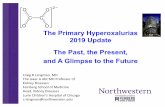 The Primary Hyperoxalurias 2019 Update The Past, the ...pediatrics.med.miami.edu/documents/Craig_Langman...•Severe Urolithiasis ... pathway for oxalate overproduction (LHDA) is promising