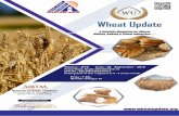 Number of Pages: 40 - WHEAT UPDATE 2018.pdfas is ITC that sells biscuits, along with Aashirvaad atta. Smaller manufactures are also likely follow suit. In the past month, wheat prices