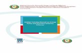 ECREEE Training Manual on Energy Policy and Incentive Schemes … · 2015-06-01 · Training manual for the Regional ECREEE Training Workshop on National Renewable Energy Policy and