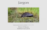 UTKEEB464 Lecture05 Jargon 2019brianomeara.info/files/UTKEEB464_Lecture05_Jargon_2019.pdfA Biological Species are groups of interbreeding natural populations that are reproductively