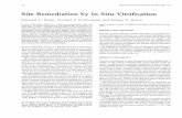 Site Remediation by In Situ Vitrificationonlinepubs.trb.org/Onlinepubs/trr/1991/1312/1312-020.pdf · Site Remediation by In Situ Vitrification MICHAEL G. BYERS, VINCENT F. FITZPATRICK,