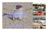 The Human Impact of Climate Change in IndiaThe Human Impact of Climate Change in India 2 considerable concern. The IPCC estimated that as a result of projections of a reduced flow