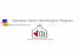 Canadian Cattle Identification department/ FILE/c_giffen.pdfآ  The Agency