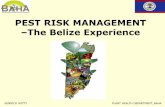 PEST RISK MANAGEMENT The Belize Experience...PEST RISK MANAGEMENT –The Belize Experience KENRICK WITTY PLANT HEALTH DEPARTMENT, BAHA . In Belize there has been a recent increase