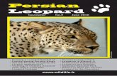Persian LeopardPersian Leopard Newsletter No.2 June 2010 • :Symbol Hunting a Leopard of Loyalty among Persian Kings • s Are the Persian Leopard the Largest Subspecies? • Training