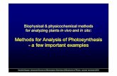 Biophysical & physicochemical methods for analyzing plants ...webserver.umbr.cas.cz/~kupper/03_Photosyn-Methods... · Biophysical & physicochemical methods for analyzing plants in