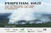 PERPETUAL HAZEPerpetual haze: Pulp production, peatlands, and the future of fire risk in Indonesia. November. Jakarta, Indonesia. This report is also published in Bahasa Indonesia,