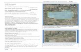 SFWMD Land Use Assessment 2013 · SFWMD Land Use Assessment 2013 375 C‐43 Reservoir: Land Character (Continued) IMPORTANT DISCLAIMER: All maps in this document are a conceptual