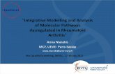 Integrative Modelling and Analysis of Molecular Pathways ... · "Integrative Modelling and Analysis of Molecular Pathways dysregulated in Rheumatoid Arthritis" Anna Niarakis MCF,