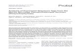 Analysis of Expressed Sequence Tags from the Marine ...Analysis of Expressed Sequence Tags from the Marine Microalga Pseudochattonella farcimen (Dictyochophyceae) Simon M. Dittamia,1,