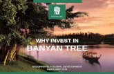 WHY INVEST IN BANYAN TREE - Accor WHY INVEST IN BANYAN TREE // KEY IDENTIFIERS // FEBRUARY 2018 BANYAN