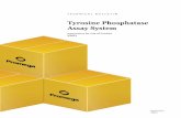Tyrosine Phosphatase Assay System - Promega · Tyrosine Phosphatase Assay System allows use of a variety of buffer conditions and substrates, including naturally phosphorylated proteins