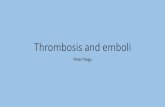 Thrombosis and emboli - Semmelweis Egyetemsemmelweis.hu/patologia1/files/2017/11/ED-thrombosis-emboli-NP.pdf · •A thrombus is any solid object developing from the blood in vivo