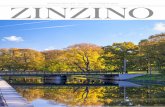 INTERIM REPORT JULY - SEPTEMBER 2016 ZINZINO · Launch of the new product segment Zinzino Skin Care with high potential. Zinzino Skin Serum is an exclusive and completely proprietary