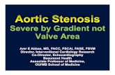 Severe by Gradient not Valve Area...Severe by Gradient not Valve Area Amr E Abbas, MD, FACC, FSCAI, FASE, FSVM Director, Interventional Cardiology Research Co-Director, Echocardiography