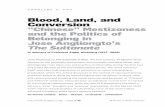 Blood, Land, and Conversion “Chinese” …...Blood, Land, and Conversion “Chinese” Mestizoness and the Politics of Belonging in Jose Angliongto’s The Sultanate Jose Angliongto’s