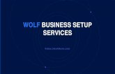 WOLF BUSINESS SETUP SERVICES Wolf business setup services is a leading innovator in the company formation