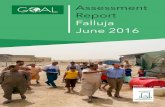 Assessment Report Falluja June 2016 - HumanitarianResponse...shelter, WASH, health and protection experts from Afkar Society for Development and Relief (Afkar). Afkar’s connections