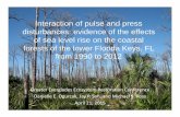Interaction of pulse and press disturbances: evidence of ... Presentations/SESSION 11...Interaction of pulse and press disturbances: evidence of the effects of sea level rise on the