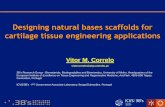 Designing natural bases scaffolds for cartilage tissue ...Designing natural bases scaffolds for cartilage tissue engineering applications Vitor M. Correlo vitorcorrelo@dep.uminho.pt