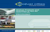 Biofuel Projects and Activities versie 2Biofuel Cities Reports & Recommendations - Biofuel Projects and Activities in the EU Introduction and aim 2 1. Introduction This report “Biofuel