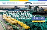 El estado de la pesca en el Mediterráneo y el Mar …3 Introducción E l Mediterráneo y el Mar Negro han soportado una importante actividad pesquera desde tiempos remotos. Actualmente