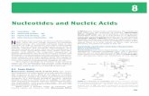 Nucleotides and Nucleic Acids...284 Nucleotides and Nucleic Acids Although nucleotides bearing the major purines and pyrimidines are most common, both DNA and RNA also contain some