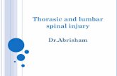 Thorasic and lumbar spinal injury · 2013-11-25 · Initial evaluation and management. Systematic fashion review Supine position + rigid board or collar Splint of extremity View back