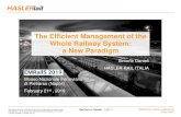 The Efficient Management of the Whole Railway System: a ...emrails.eu/presentations/06_The_Efficient... · Italian subsidiary HaslerRail Italia Srl is Centre of Competence for : Energy