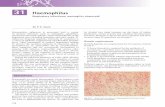 31 Haemophilus - Elsevier · Haemophilus inﬂ uenzae is associated with a variety of invasive infections such as meningitis, epiglottitis, pneumonia and septic arthritis, and localized