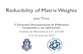 Juan Tirao - UNAM · Juan Tirao V Encuentro Iberoamericano de Polinomios Ortogonales y sus Aplicaciones Instituto de Matemáticas CU, UNAM 8-12 de junio de 2015. Outline 1. Matrix