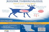 BOVINE TUBERCULOSIS · BOVINE TUBERCULOSIS Bovine Tuberculosis (BTb) can a˚ ect livestock, wildlife and people. NICOLA VALLEY AREA: Be part of the solution! If you see anything odd,