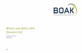 What’s new BO4.2 bis SP4 [Session A1] - IT-Logix · SAP BI 4.2 SP4 supports new relational data sources for: DB2 for i7.3 MySQL 5.7 Oracle Exadata 12 SQL Anywhere 17 SQL Server