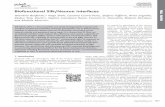 Biofunctional Silk/Neuron Interfaces · wileyonlinelibrary.com [[[ ...