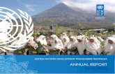United Nations Development Programme, Indonesia · To foster good governance and improve public service, Indonesia must continue on the path of bureaucracy . reform, which was listed