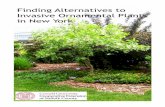 Finding Alternatives to Invasive Ornamental Plants …...for some alternative plants to invasive ornamental plants. The Native-Friendly Demon-stration Garden is located at the Long