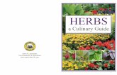 HERBS - West Virginia Print/Herbs Brochure...and highly used herbs in the culinary world and is popular in the cooking of many types of cuisine. 7KH VWURQJ FORYH OLNH ÀDYRU LV essential