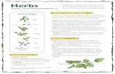 Herbs - Vermont Harvest of the MonthHistory of Various Herbs A vast array of herbs can be grown in Vermont—they can add punch and depth to any dish! The three herbs covered below