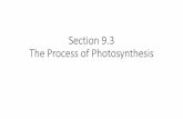 Section 9.3 The Process of Photosynthesis...Key Questions 1. What happens during the light-dependent reactions? 2. What happens during the light-independent reactions? 3. What factors