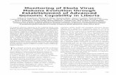 Monitoring of Ebola Virus Makona Evolution through ...Monitoring Ebola Virus Makona Evolution with rooting based on the EBOV phylogeny published by Gire et al. (12).BEAST version 1.8.2