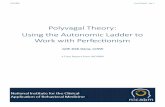 Polyvagal Theory: Using the Autonomic Ladder to Work with ... · Then finally at the very beginning of the autonomic timeline, the dorsal vagal responds. We’re at the bottom of