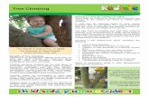 Tree Climbing - Kidsafe NSW · anything: rocks and boulders, climbing walls, jungle gyms, furniture, and trees! Children perceive climbing as fun and strive to accomplish reaching