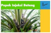 Pupuk Injeksi Batang · pH H2O 4.5 strongly acid Liming requirement = 12,5 tons/ha N-NH4 Morgan Wolf 21 ppm cold or wet or fertilizer residue N-NO3 Morgan Wolf 144 ppm excessive P2O5