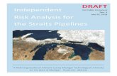 DRAFT Independent Risk Analysis for the Straits …...RUNNING HEAD: INDEPENDENT RISK ANALYSIS – PROJECT ID#1801011 Draft Report for Public Comment – July 2018 0 Revision Log Rev.