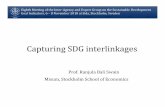 Capturing SDG interlinkages · 2018-11-08 · Capturing SDG interlinkages Prof. Ranjula Bali Swain Misum, Stockholm School of Economics Eighth Meeting of the Inter-Agency and Expert
