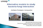 Alternative models to study bacteria-fungi interaction · wound and surgical-site infection, and intra-abdominal and urinary tract infection [3,8,9]. In dentistry, they are frequently