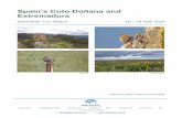 Spain’s Coto Doñana and Extremadura · 2017-03-26 · Spain’s Coto Doñana and Extremadura Naturetrek Tour Report 16 – 24 April 2016 Naturetrek Mingledown Barn Wolf's Lane