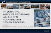 INTEGRATING WILDLIFE CROSSINGS into TxDOT’S PLANNING … · 11Sep19 INTEGRATING WILDLIFE CROSSINGS into TxDOT’S PLANNING and DESIGN PROCESS. 11Sep19. RTI 0-6971. Stirling Robertson,