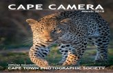 Mar 2018 amer CAPE CAMERA · 2018-03-31 · Sands reserve and one at Mashatu in the Tuli Block, with the main emphasis on finding opportunities to taking images of leopards, wild